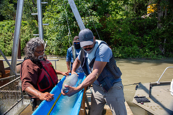 PSF VISIT MATSQUI FISH WHEEL-221