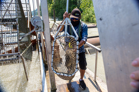 PSF VISIT MATSQUI FISH WHEEL-235