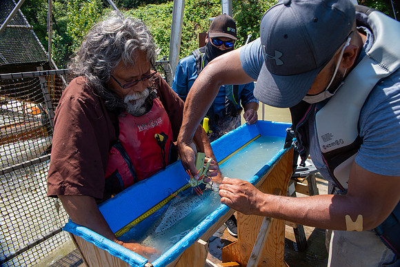 PSF VISIT MATSQUI FISH WHEEL-194