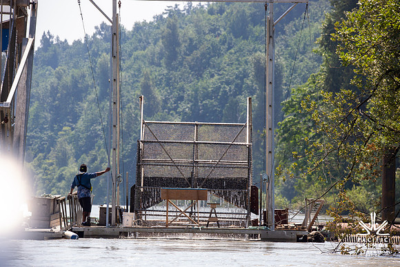 PSF VISIT MATSQUI FISH WHEEL-166