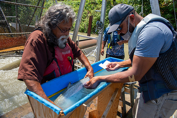 PSF VISIT MATSQUI FISH WHEEL-180