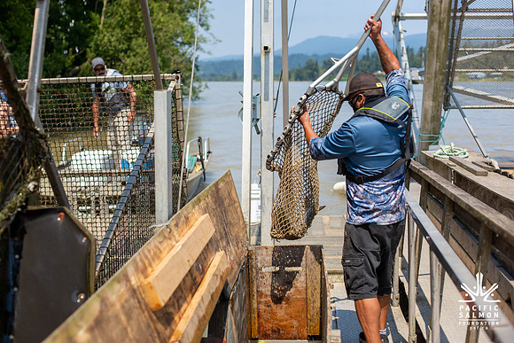 PSF VISIT MATSQUI FISH WHEEL-159