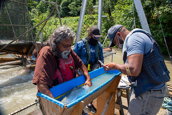 PSF VISIT MATSQUI FISH WHEEL-184