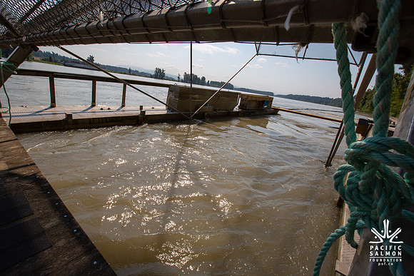 PSF VISIT MATSQUI FISH WHEEL-66