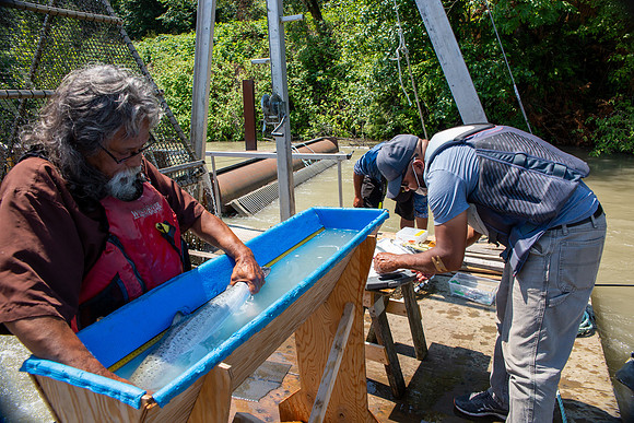 PSF VISIT MATSQUI FISH WHEEL-178