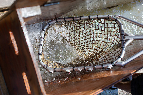 PSF VISIT MATSQUI FISH WHEEL-150