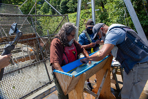 PSF VISIT MATSQUI FISH WHEEL-187