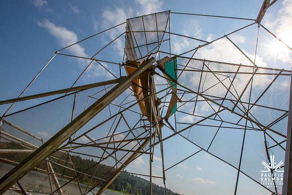 PSF VISIT MATSQUI FISH WHEEL-71