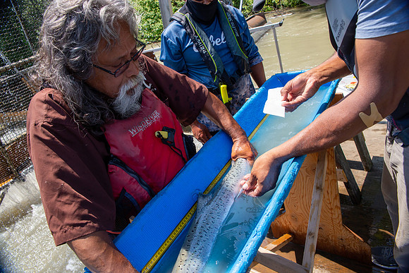 PSF VISIT MATSQUI FISH WHEEL-186