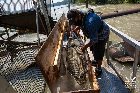 PSF VISIT MATSQUI FISH WHEEL-114