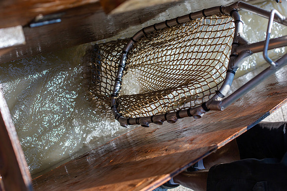 PSF VISIT MATSQUI FISH WHEEL-151