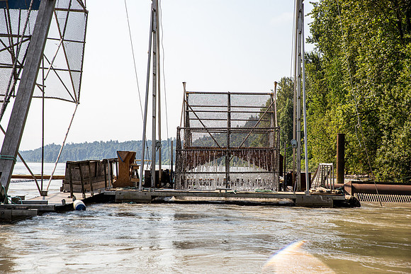 PSF VISIT MATSQUI FISH WHEEL-39