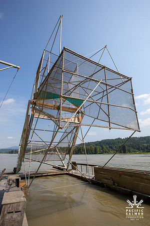 PSF VISIT MATSQUI FISH WHEEL-64