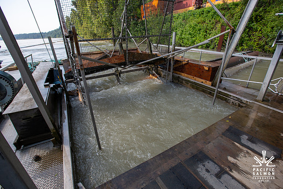 PSF VISIT MATSQUI FISH WHEEL-70