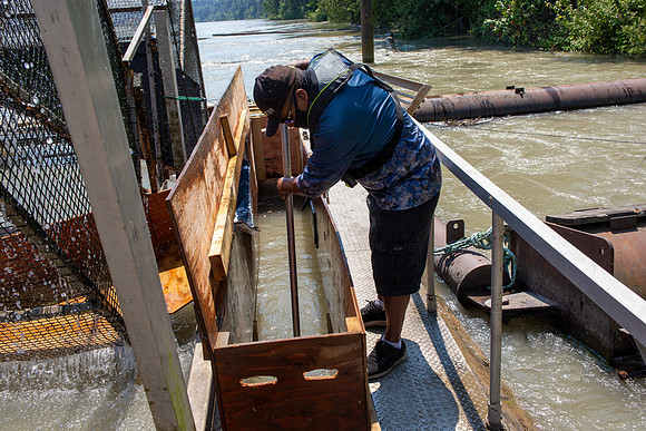 PSF VISIT MATSQUI FISH WHEEL-174