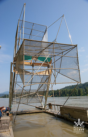 PSF VISIT MATSQUI FISH WHEEL-60