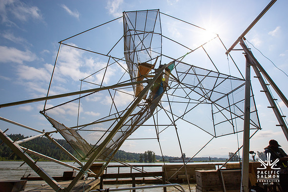PSF VISIT MATSQUI FISH WHEEL-48
