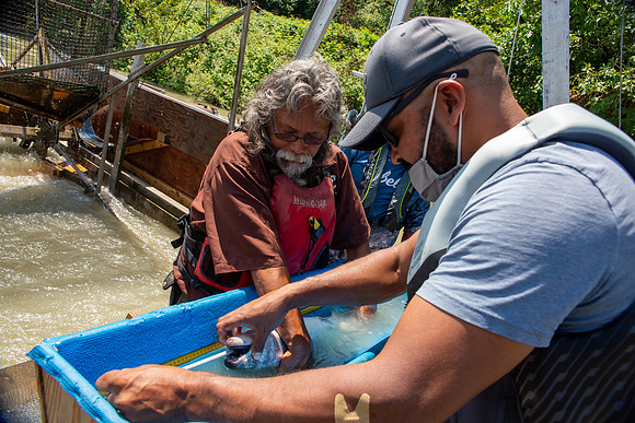PSF VISIT MATSQUI FISH WHEEL-203