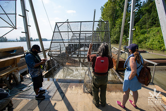 PSF VISIT MATSQUI FISH WHEEL-49