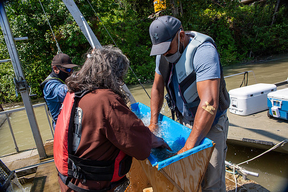 PSF VISIT MATSQUI FISH WHEEL-177