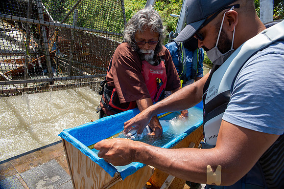 PSF VISIT MATSQUI FISH WHEEL-201