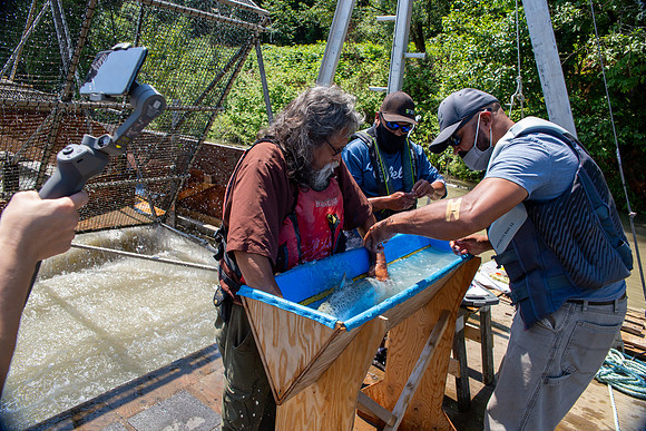 PSF VISIT MATSQUI FISH WHEEL-188