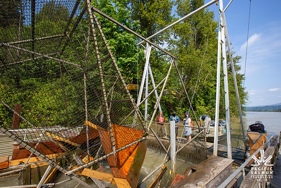 PSF VISIT MATSQUI FISH WHEEL-63