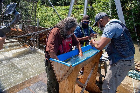 PSF VISIT MATSQUI FISH WHEEL-189