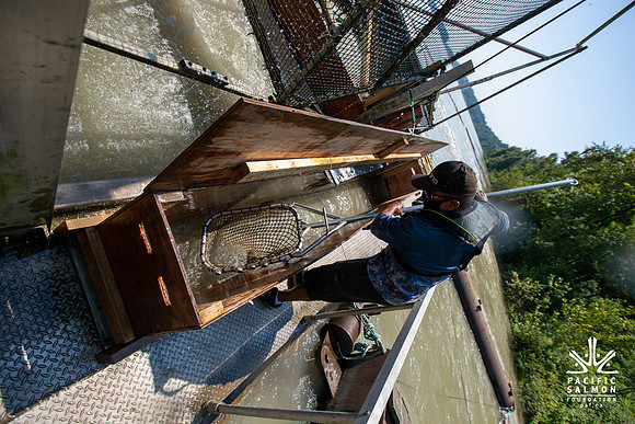 PSF VISIT MATSQUI FISH WHEEL-113