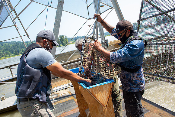 PSF VISIT MATSQUI FISH WHEEL-238
