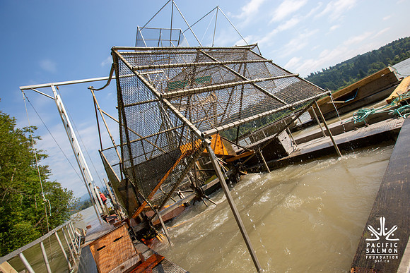 PSF VISIT MATSQUI FISH WHEEL-89