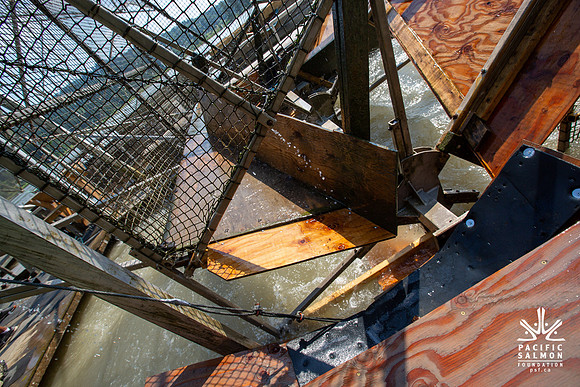 PSF VISIT MATSQUI FISH WHEEL-53
