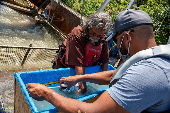 PSF VISIT MATSQUI FISH WHEEL-204