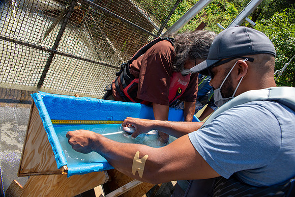 PSF VISIT MATSQUI FISH WHEEL-205