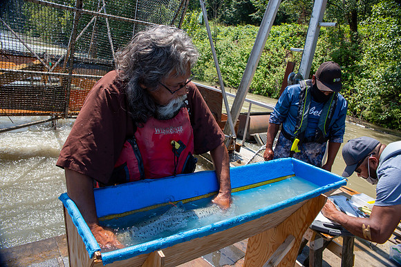 PSF VISIT MATSQUI FISH WHEEL-198