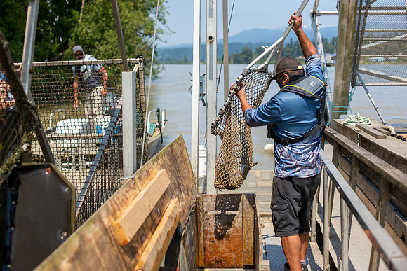 PSF VISIT MATSQUI FISH WHEEL-159