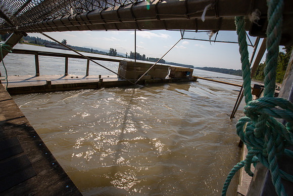 PSF VISIT MATSQUI FISH WHEEL-66