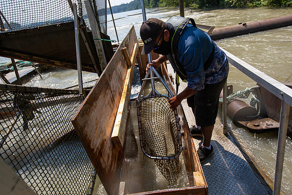 PSF VISIT MATSQUI FISH WHEEL-114