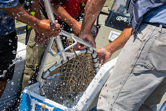 PSF VISIT MATSQUI FISH WHEEL-307