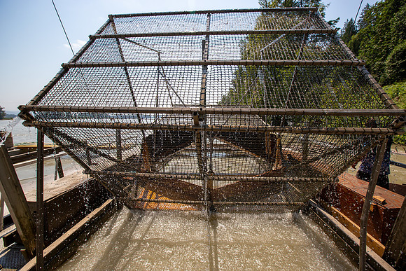 PSF VISIT MATSQUI FISH WHEEL-111
