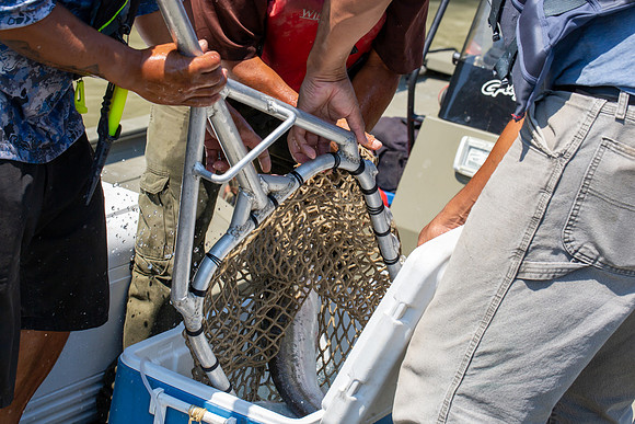 PSF VISIT MATSQUI FISH WHEEL-306