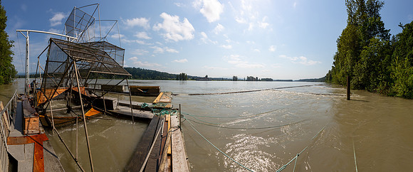 PSF VISIT MATSQUI FISH WHEEL-88