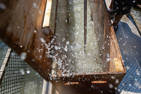 PSF VISIT MATSQUI FISH WHEEL-112
