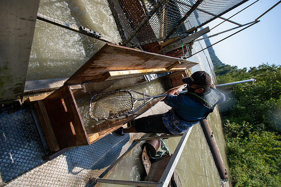 PSF VISIT MATSQUI FISH WHEEL-113