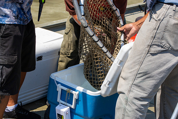 PSF VISIT MATSQUI FISH WHEEL-305