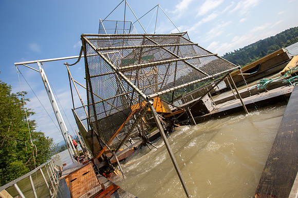 PSF VISIT MATSQUI FISH WHEEL-89