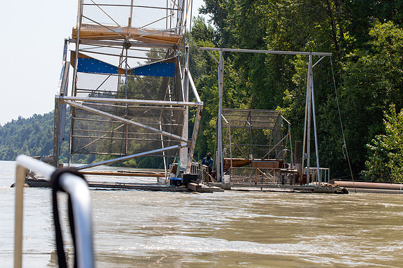 PSF VISIT MATSQUI FISH WHEEL-309