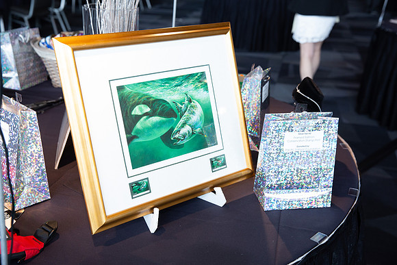 4-SETUP-PSF GALA 2022-417