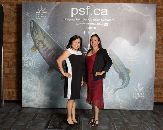 MEDIA WALL- PSF-52