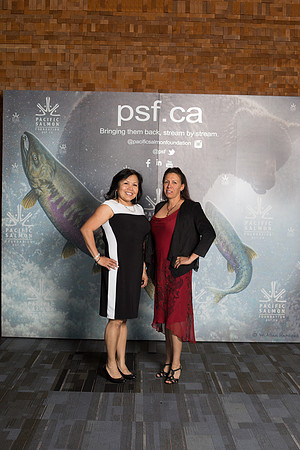 MEDIA WALL- PSF-53